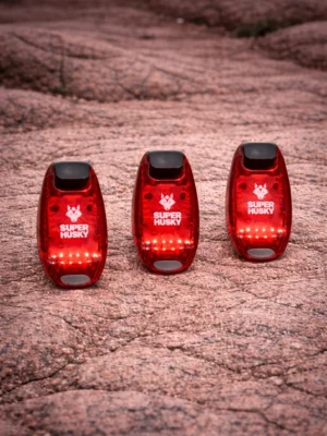 LED lumineuses - FLASH500