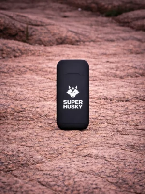 Batterie externe - PB600