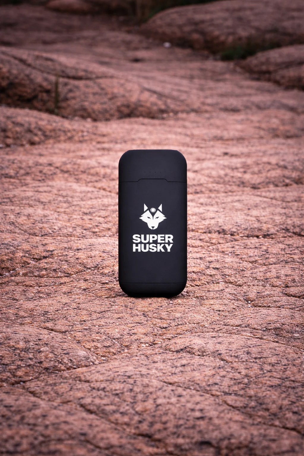 Batterie externe - PB600