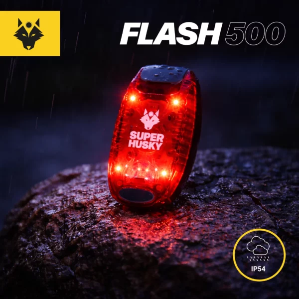 LED lumineuses - FLASH500